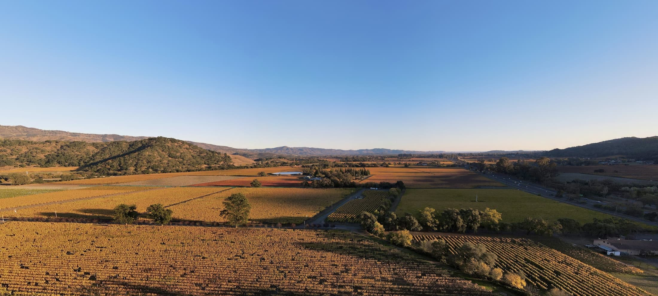 Wine country vineyards